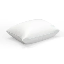 Sealy Jumbo 2pk Medium Dream Touch Pillow