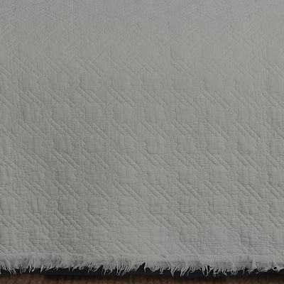 C&F Home Trellis Slate Euro Sham Set 1 C&F Home Trellis Slate Euro Sham Set